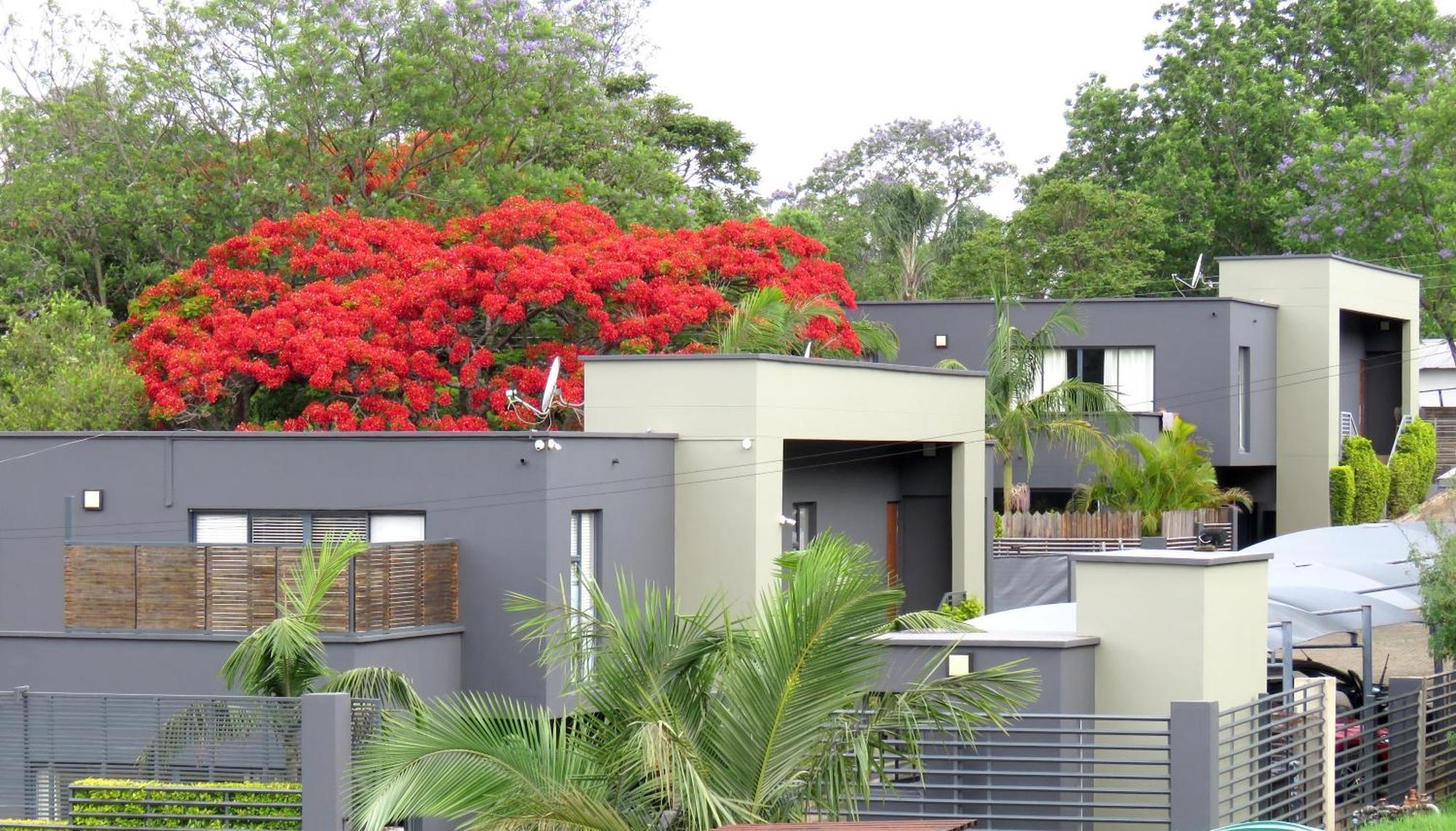 The Executive - Exclusive Self-Catering Apartments - Ezulwini Ngoại thất bức ảnh